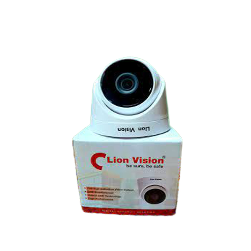 lion vision cctv camera